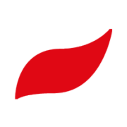 FIRES s.r.o. logo