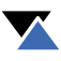 FootfallCam logo