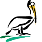 Pelican Wireless Systems logo